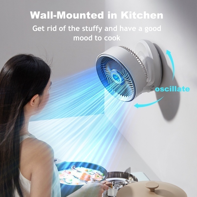 EDON E808G Upgraded Long Barrel Design Wall Mounted Fan